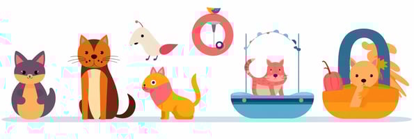 toys blog pet-friendly