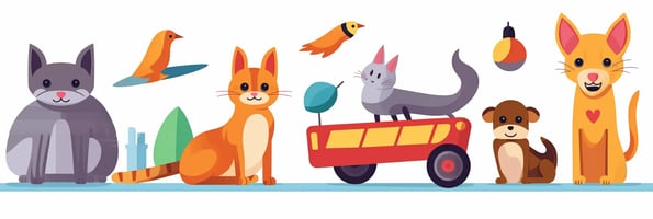 toys blog pet-friendly