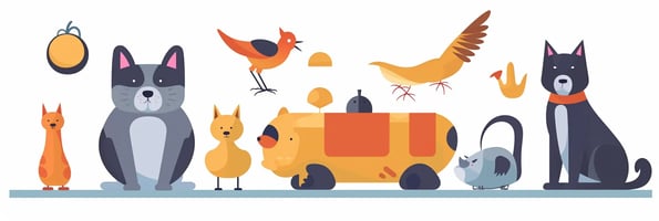 toys blog pet-friendly