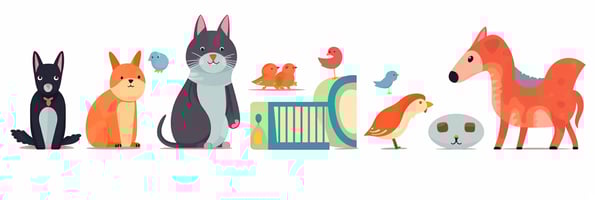 toys blog pet-friendly